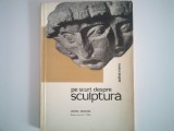 Pe scurt despre sculptura - ADINA NANU