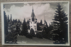 Sinaia, Palatul Peles, Atelier Gust. Brasov// fotografie tip CP foto