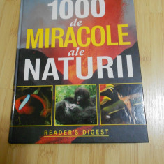 1000 DE MIRACOLE ALE NATURII