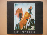 IULIA HALAUCESCU - CATALOG EXPOZITIE - 1980