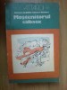 N7 Mostenitorul salbatic - Ugo Attardi