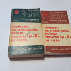 Probleme De Matematica Pentru Treapta A I si a II-A De Liceu-Gheorghe CalugaritA