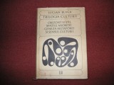 Trilogia Culturii - Lucian Blaga (coperti cartonate)