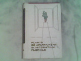 Plante de apartament si decoratiuni florale-Eugen Sadovsky,Amelia Militiu, Alta editura