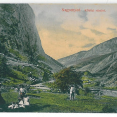 3581 - AIUD, Alba, Romania - old postcard - unused