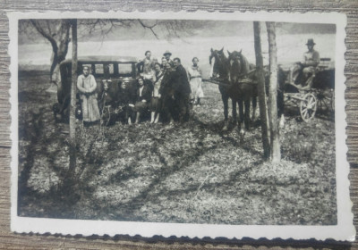 La padure cu masina si caruta// fotografie foto