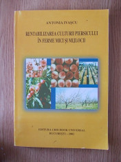 RENTABILIZAREA CULTURII PIERSICULUI IN FERME MICI SI MIJLOCII- ANTONIA IVASCU foto