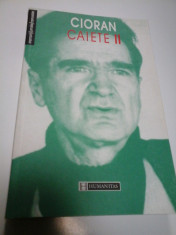 CAIETE - CIORAN - volumul II foto