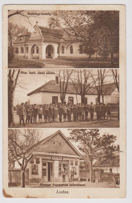 Carte postala LUDAS , Ungaria ,circulata