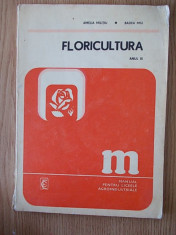 FLORICULTURA- AMELIA MILITIU- ANUL III, manual pentru liceele agroindustriale foto