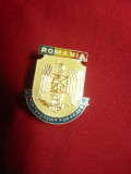 Insigna Militara Romania - Parteneriatul pentru Pace ,h=2,7cm ,metal si email