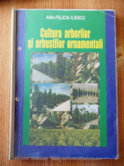 CULTURA ARBORILOR SI ARBUSTILOR ORNAMENTALI- ANA FELICIA ILIESCU- 2002 foto