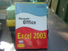 Microsoft office. Excel 2003 - Steven Johnson foto