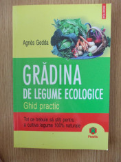 GRADINA DE LEGUME ECOLOGICE- GEDDA foto