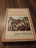 ITINERAR PSIHIATRIC - PETRE BRANZEI