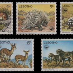 LESOTHO 1976 WWF ANIMALE SALBATICE COTA MICHEL 80 EURO