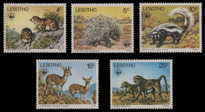 LESOTHO 1976 WWF ANIMALE SALBATICE COTA MICHEL 80 EURO foto