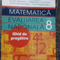 MATEMATICA EVALUARE NATIONALA GHID DE PREGATIRE CLASA A VIII A .NICULESCU