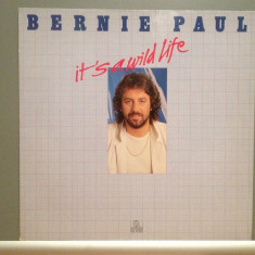 BERNIE PAUL – IT’S A WILD LIFE (1981/ARIOLA/RFG) - VINIL/ca Nou