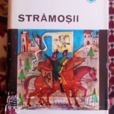 Stramosii ( cartonata) - Radu Theodoru