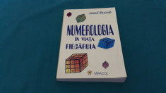 NUMEROLOGIA IN VIA?A FIECARUIA/ ANATOL BASARAB/ 1999 foto
