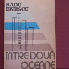 RADU ENESCU - INTRE DOUA OCEANE- CALATORIE PRIN USA DE LA EST LA VEST- 294 PAG.