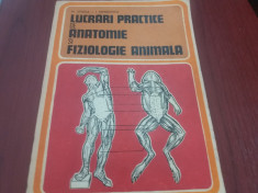 M STOICA - LUCRARI PRACTICE DE ANATOMIE SI FIZIOLOGIE ANIMALA foto