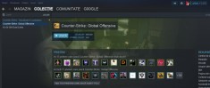 Vand cont Steam cu CS GO rank level 30,prime si Gold Nova Master foto