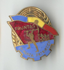 FRUNTAS IN MUNCA PATRIOTICA 1950 - Insigna SUPERBA EMAIL foto