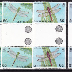 Montserrat 1983 fauna libelule MI 503-506 MNH w52