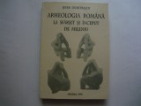 Arheologia romana la sfarsit si inceput de mileniu - Sever Dumitrascu, Alta editura