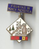 FRUNTAS IN MUNCA PATRIOTICA industria petrochimica anii 1970 - Insigna SUPERBA