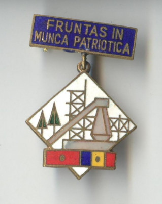 FRUNTAS IN MUNCA PATRIOTICA 1970 - Insigna SUPERBA EMAIL foto