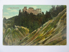Carte postala Targu Neamt/Cetatea Neamtului,circulata 1914 foto