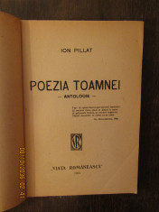 ION PILLAT -ANTOLOGIA TOAMNEI foto