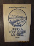 ORASUL FARA IESIRE LA MARE-VALENTIN PETCULESCU, 1989