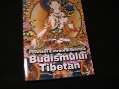 POVESTIRI EXTRAORDINARE ALE BUDISM. TIBETAN-DOMINIQUE LARMIER-TRAD. M. C,TINESCU foto