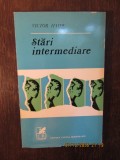 STARI INTERMEDIARE-VICTOR HAIDE