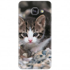 Husa silicon pentru Samsung Galaxy A7 2016, Animal Cat foto