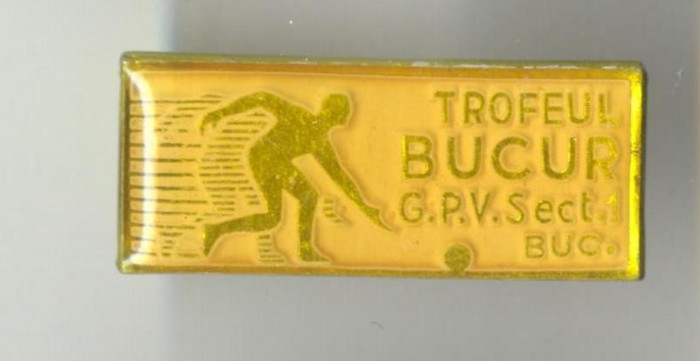 BOWLING POPICE - TROFEUL BUCUR 1980 - Insigna RARA