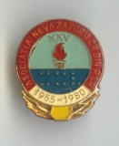 ASOCIATIA NEVAZATORILOR DIN REPUBLICA SOCIALISTA ROMANIA 1980 - Insigna - RARA