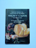 Transilvania- Monografie Mezey Lajos, primul fotograf din Oradea, Nagyvarad