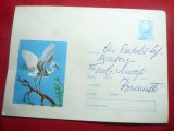 Plic ilustrat -Pasare- Egreta -cod 887/72