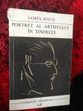 James Joyce - Portret al artistului in tinerete Rp