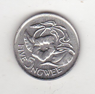bnk mnd Zambia 5 ngwee 1972 - flora foto