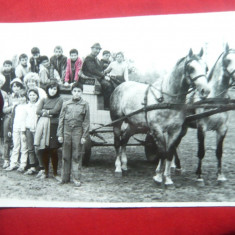 Fotografie Caruta cu 2 cai si copii