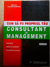 Calvert Markham - Cum sa fii propriul tau consultant in management foto