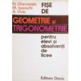 N. Ghircoiasu - Fişe de geometrie şi trigonometrie pentru elevi