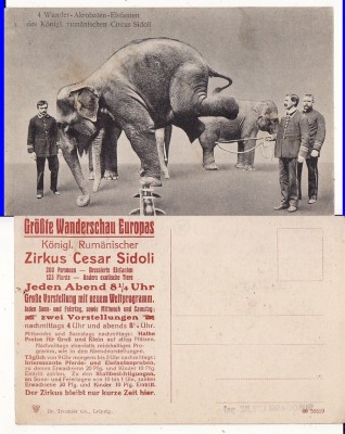 Circul Regal Cesar Sidoli din Bucuresti -reclama verso, rara foto