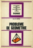 Mihail St. Botez - Probleme de geometrie